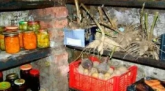 Како да се ослободите од габа во подрумот и под земја на приватна куќа